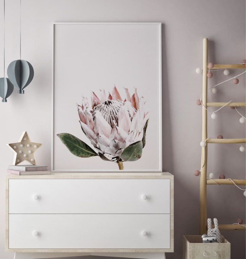 Pink Protea Floral Print | Little Crown Interiors Shop