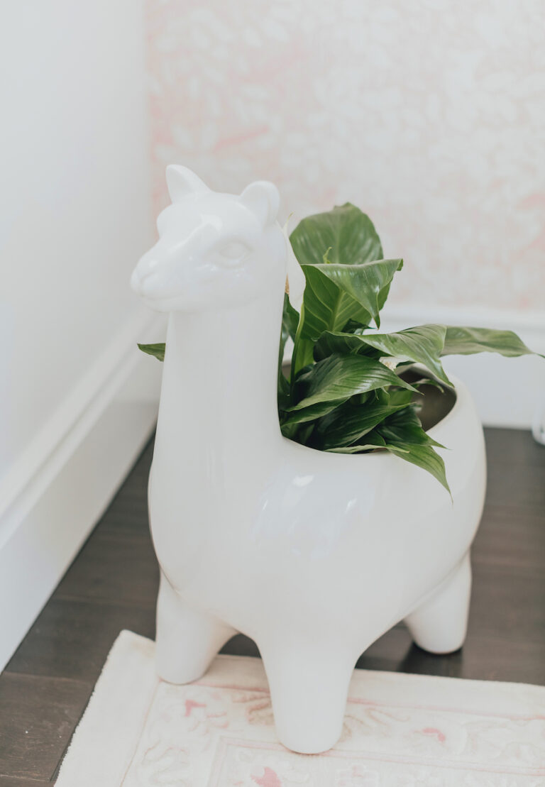 Nursery Design with Llama Planter by Little Crown Interiors