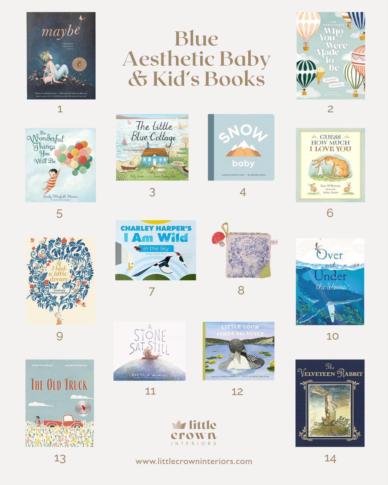 Blue Aesthetic Baby & Kid's Books